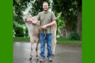 Junger Mann mit Kalb