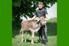 Junger Mann mit Kalb