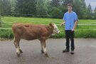 Ein junger Mann mit einem Kalb