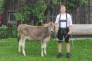 Ein junger Mann mit einem Kalb