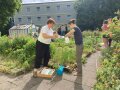 Studierende beim Dekorieren im Garten