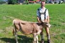 Ein junger Mann mit einem Kalb