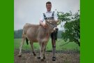 Junger Mann mit Kalb