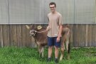 Ein junger Mann mit einem Kalb