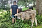 Ein junger Mann mit einem Kalb