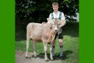 Junger Mann mit Kalb