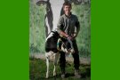 Junger Mann mit Kalb