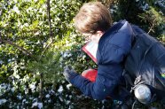 Eine junge Frau beugt sich über einen kleinen Baum