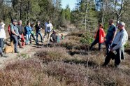 Eine Menschengruppe steht in einem Moor
