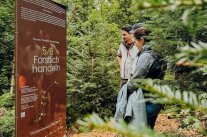 Drei Menschen betrachten im Wald eine Infotafel