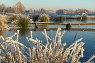 Eine winterliche Landschaft um einen Moorsee