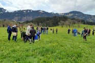 Menschen gehen durch eine Wiese und suchen Pflanzen